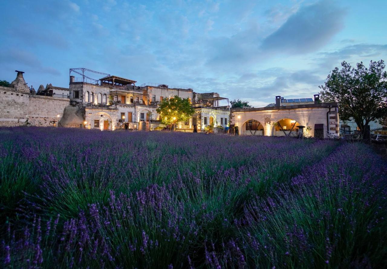 Design Cave Hotel Goreme Exterior photo
